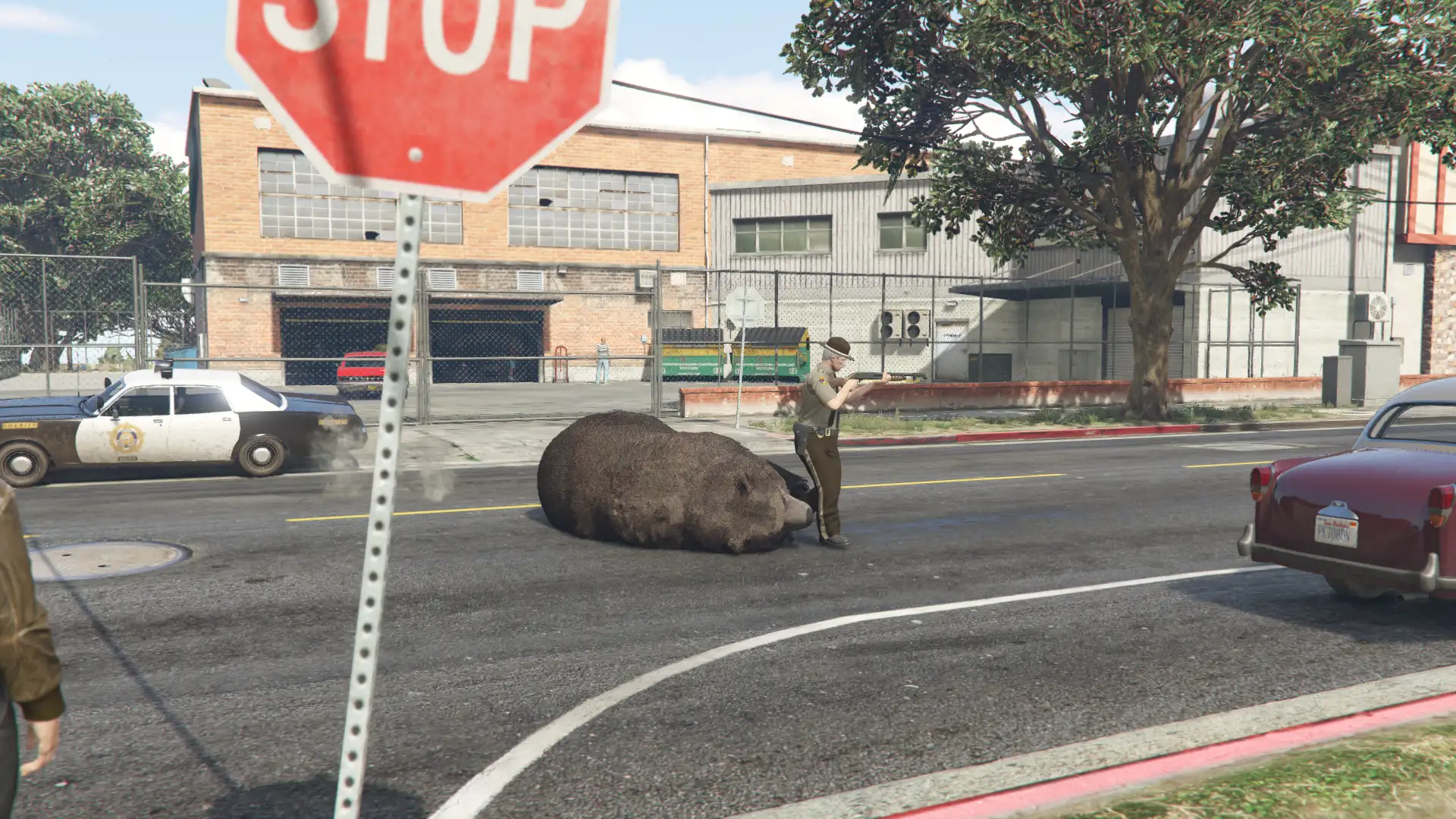 Stagione 2 - Immagine 36